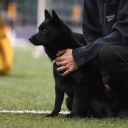 МАЛИ ФЛАЙТ АМУЛЕТ