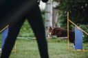 |РЭЙВЕНС КУОЗ НЕВЕРМОРЕ