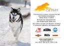 Генеральный спонсор соревнований - Корма для собак BLITZ! Качество по доступной цене! - Генеральный спонсор соревнований - Корма для собак BLITZ!<br/>Качество по доступной цене!<br/><br/>http://www.suprimspb.ru/<br/>http://reksshop.ru/