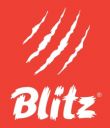 Генеральный спонсор соревнований – торговая марка BLITZ