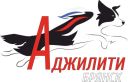 Чемпионат Брянской области по аджилити + квалификационные испытания
