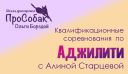 Квалификационные соревнования