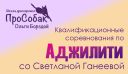 Квалификационные соревнования по аджилити