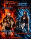 Соревнования "Огонь и Вода"
