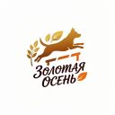 Открытые соревнования