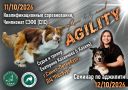 11.10.2026 Чемпионат СЗФО (СПС) Квалификационные и Открытые соревнования с Екатериной Казанковой