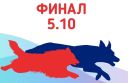 Чемпионат Федераций (СФКС + ЛОФКС) финал
