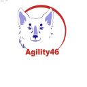 Agility 46