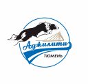 Июньский спринт-2026
