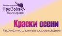 Квалификационные соревнования "Краски осени"