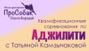 Квалификационные испытания
