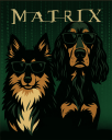 MATRIX