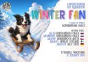 WINTER FUN