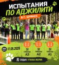Испытания по аджилити г. Брянск