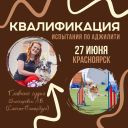 Квалификация: Испытания по аджилити