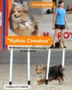 Неофициальные соревнования по аджилити "Кубок Смайла"(Омск)