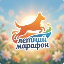 Открытые соревнования "Летний марафон"