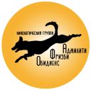 Неофициальные соревнования по аджилити (Омск)
