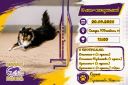 11 лет - как один миг!