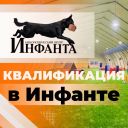 Квалификация в Инфанте