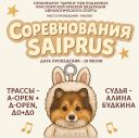Соревнования SAIPRUS