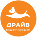 Драйв