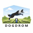 Квалификационные испытания DOGDROM в Вологде