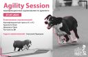 Agility session