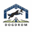 DOGDROM!READY!: Квалификационные испытания