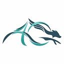 Соревнования школы "А40" в Neva Arena