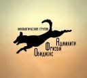 Неофициальные соревнования по аджилити (Омск)