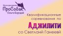 Квалификационные соревнования