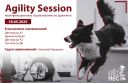 Agility session