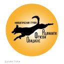 Осенний Драйв-Тайм, неофициальные соревнования по аджилити (Омск)