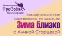 "Зима близко" квалификационные испытания