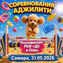 Навстречу лету